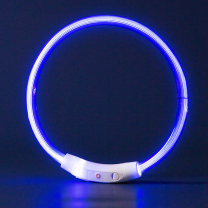 Glow Dog Choker Necklace – Rechargeable Adjustable Anti-Chew canrusupet
