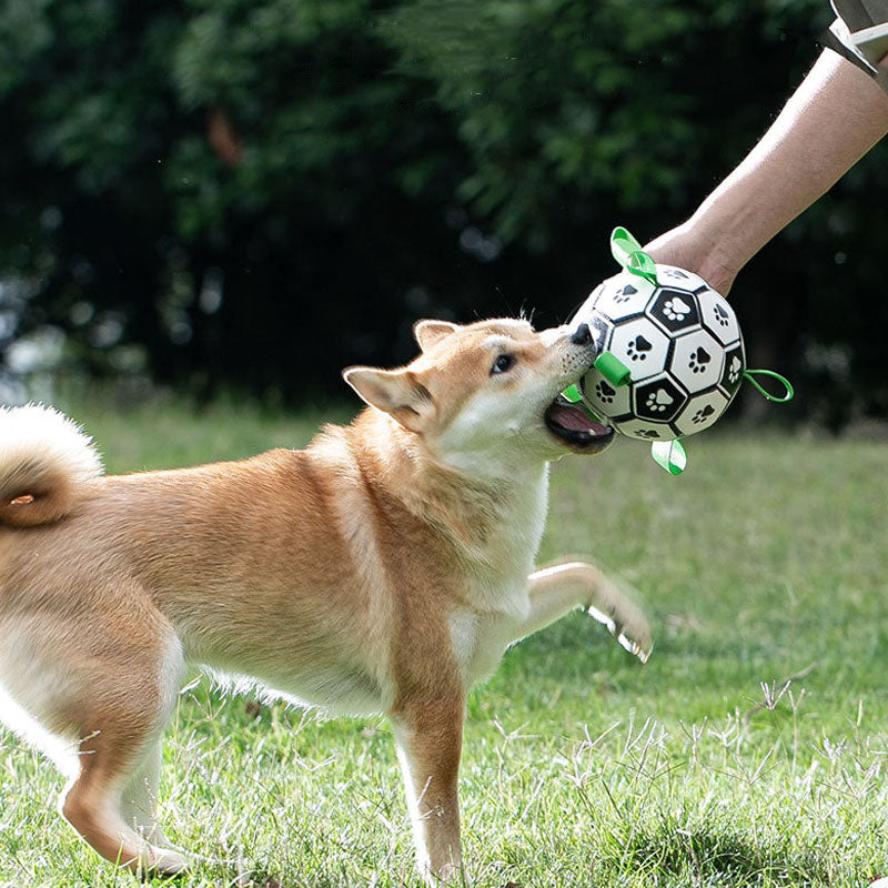 Dog Interactive Soccer Style Dog Toys canrusupet