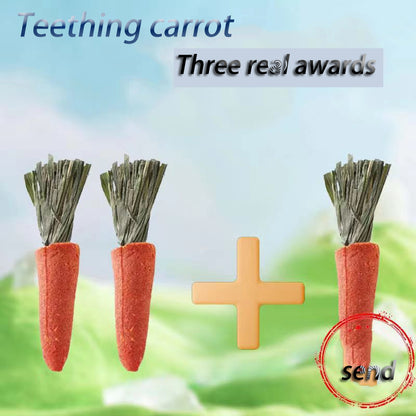 Hamster Carrot Teething Stick - canrusupet