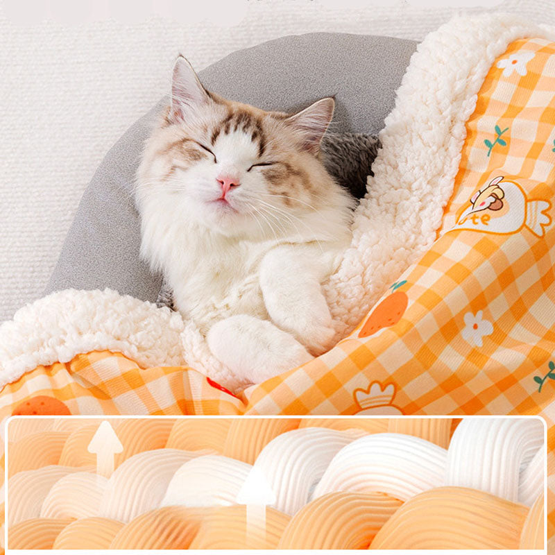 Thickened Lamb Wool Cartoon Style Dog Blanket For Pet canrusupet