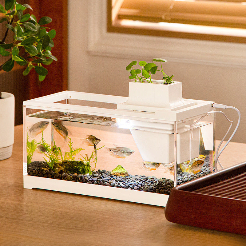 Aquarium Circulating Water Table Top Fish Tank - canrusupet