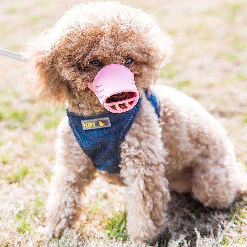 Duckbill Style Silicone Rubber Dog Muzzle For Small Dog canrusupet
