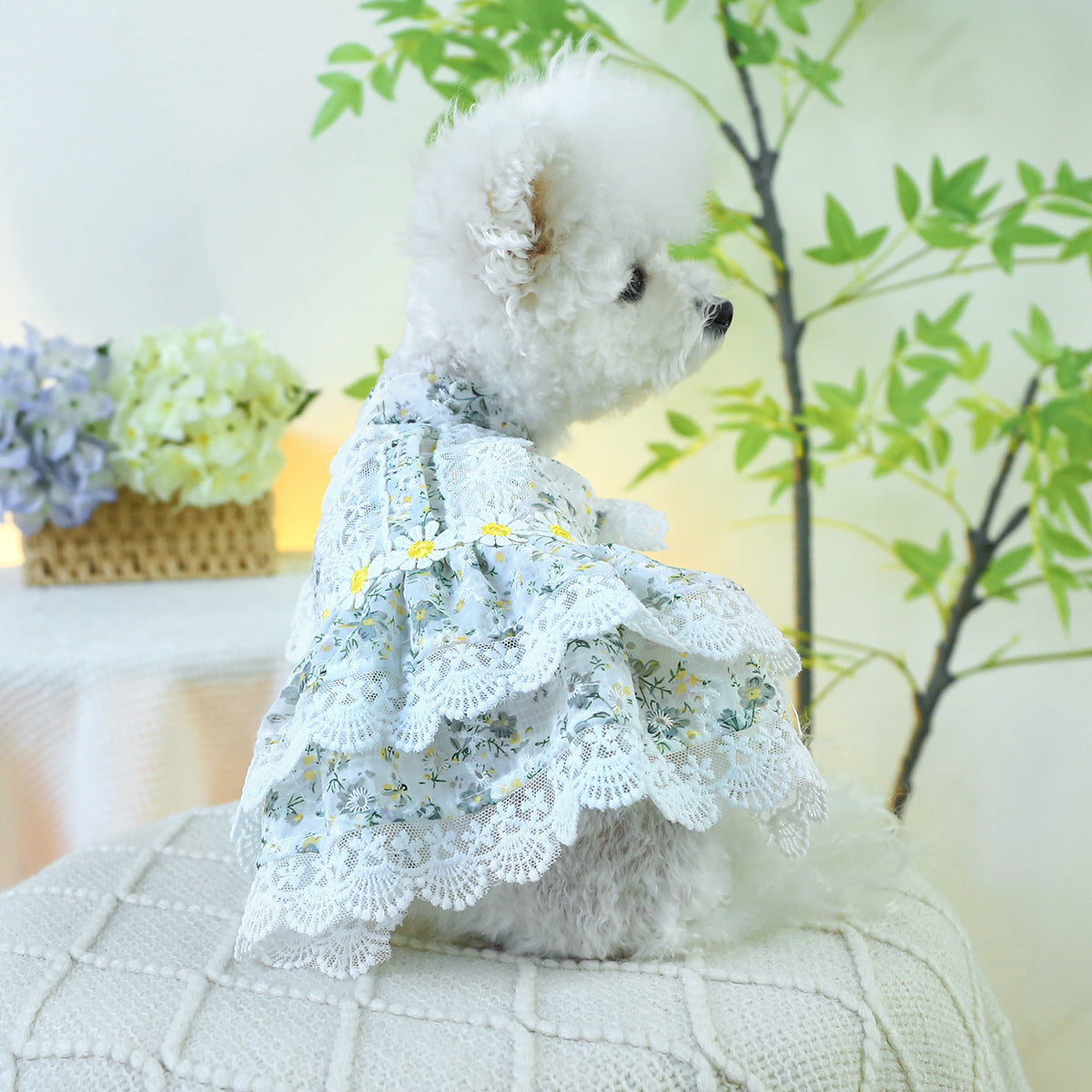 Dog Or Cat Clothes Floral Garden Dress - canrusupet