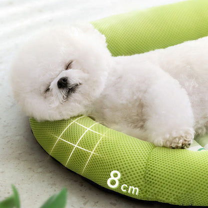 Dopamine Fruit Style Dog Kennel For Pet With Fencing canrusupet