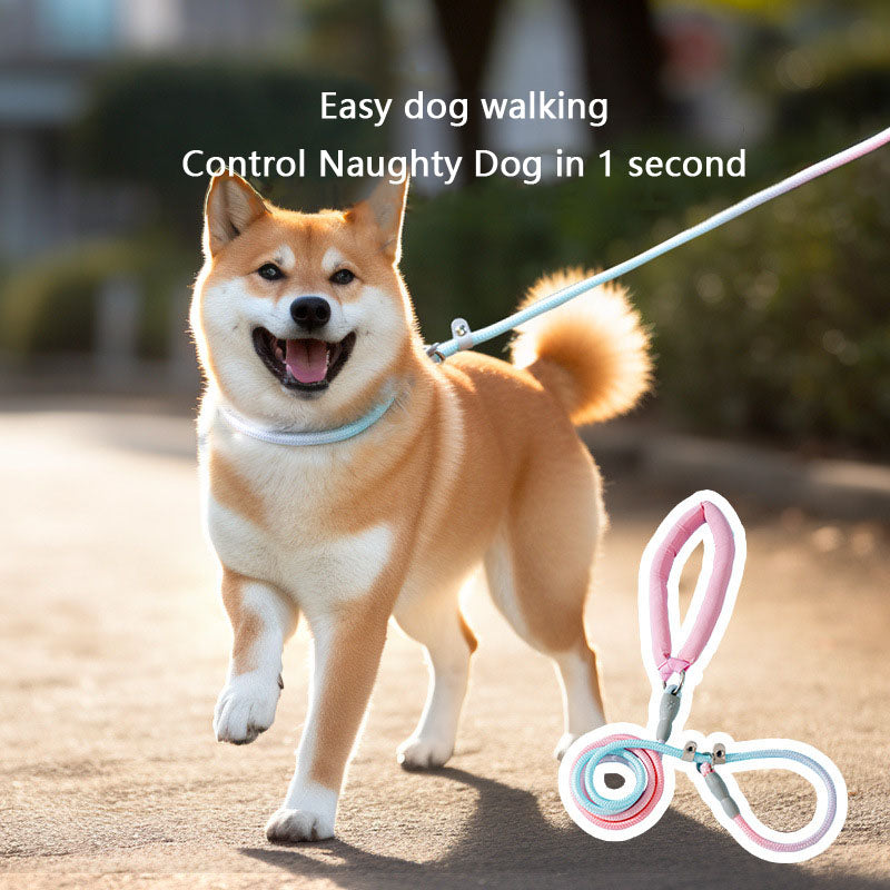 Ombre Dog Lead For Medium Dogs - Anti-Pull Training Leash canrusupet
