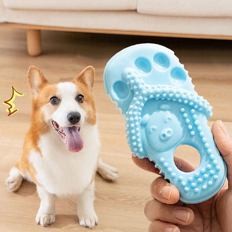 Interactive Chew-Proof Dog Toy Slipper For Small/Medium Dogs canrusupet