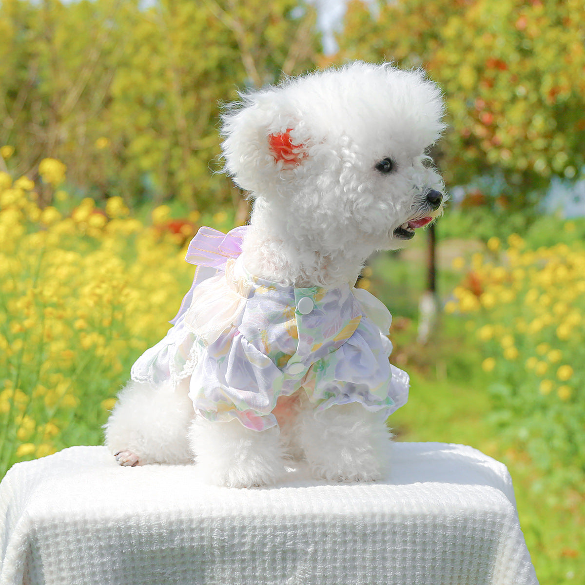 Dog Or Cat Clothes A Princess Dress With A Bow - canrusupet