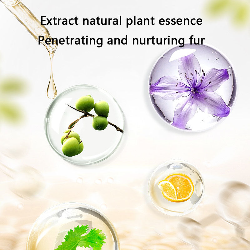 All-in-One Dog Bath Shampoo: Deodorizing For Small Dogs canrusupet