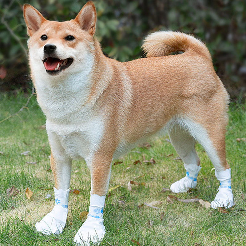 Waterproof Dog Boots For Puppy Disposable Outdoor Shoe Covers canrusupet