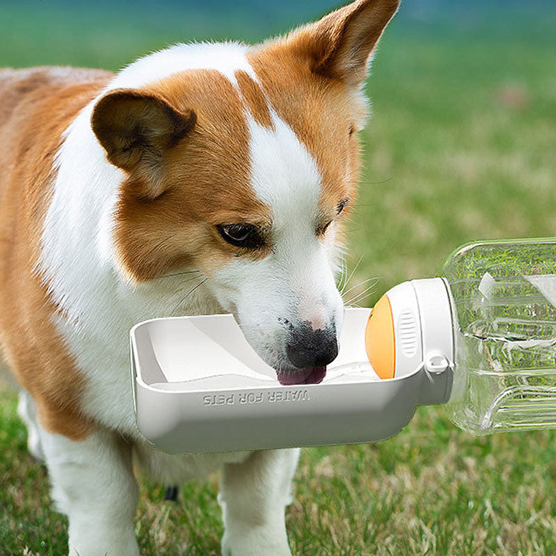 Dog Water Bottle With Food Storage - Portable Travel Cup canrusupet