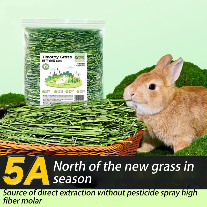 Hamster Bedding From North Extraction of Molars Forage - canrusupet