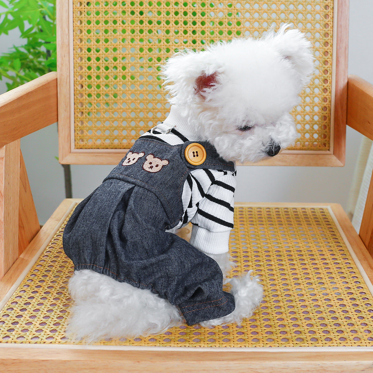 Dog Or Cat Clothes Basketball Bear head jeans - canrusupet