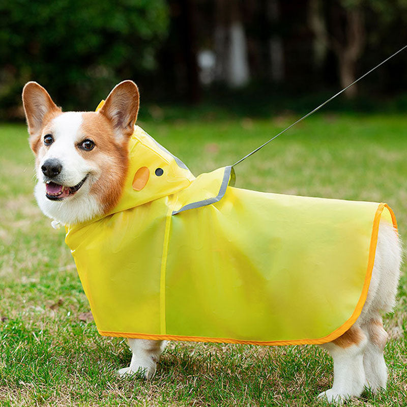 Dog Raincoat Waterproof 4-Leg Full Coverage For Corgi canrusupet