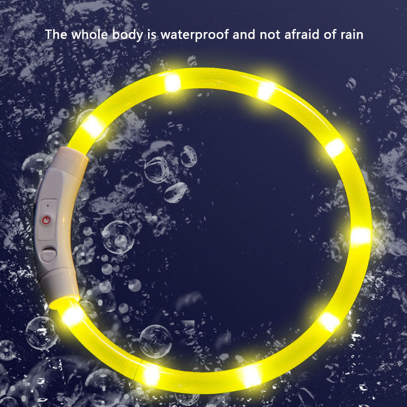 Glow Dog Choker Necklace – Rechargeable Adjustable Anti-Chew canrusupet