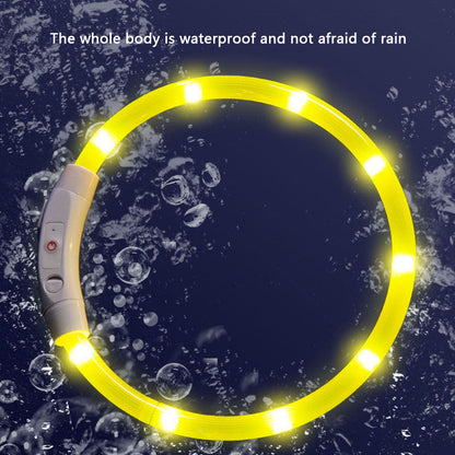 Glow Dog Choker Necklace – Rechargeable Adjustable Anti-Chew canrusupet