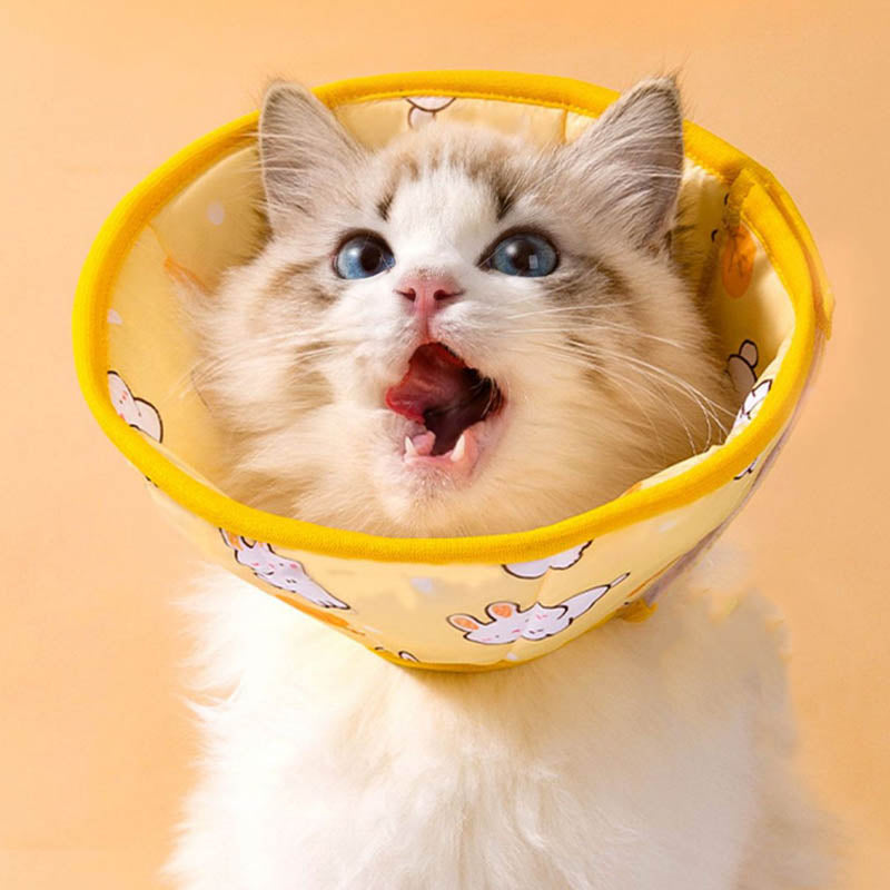 Cute Pattern Anti Licking Cones Shield Neck Brace For Pet canrusupet