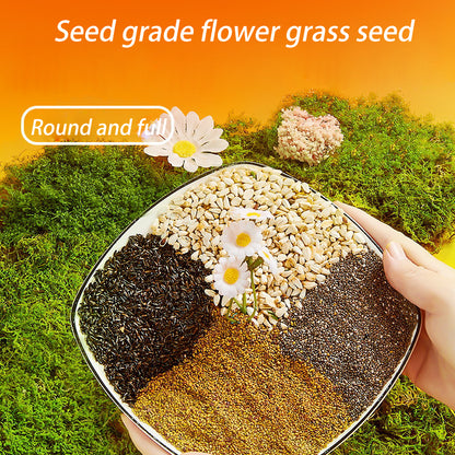 Bird Feed Nourishing Pill Bird Feed Nourishing Pellets Millet Mixed Grain