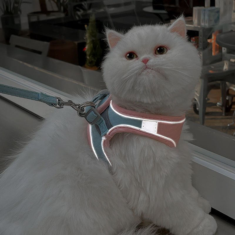 Chest And Back Styles Dog Leash With Reflective Strip canrusupet