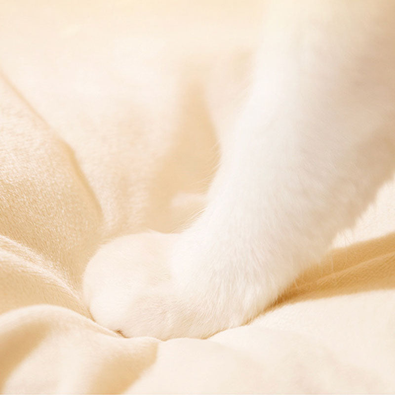 Triangle Shape Tent Style Cat House For Cats Small Dogs canrusupet