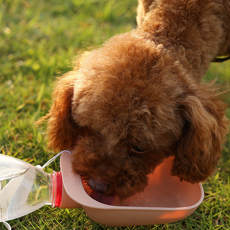 Portable Dog Bowl - Travel Water Cup For Dogs canrusupet