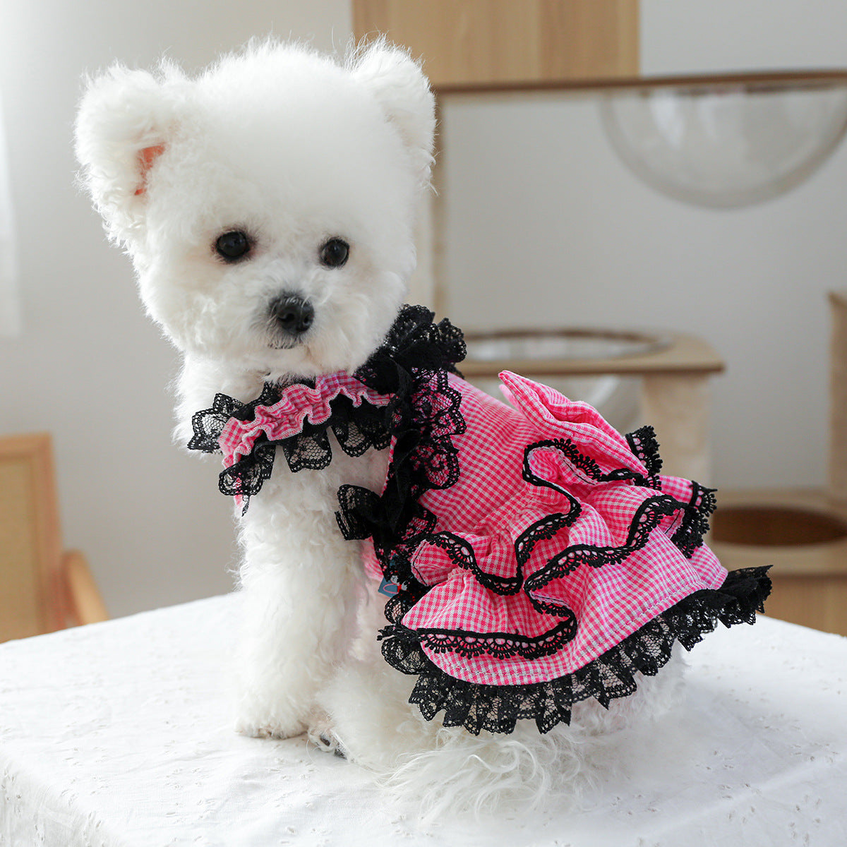 Dog Or Cat Clothes Casual Honey Boo Boo Dress - canrusupet