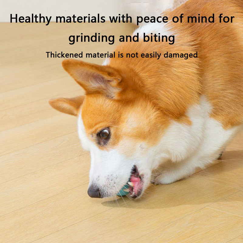 Chew-Proof Self-Rolling Dog Toys - Interactive Fetch Ball canrusupet