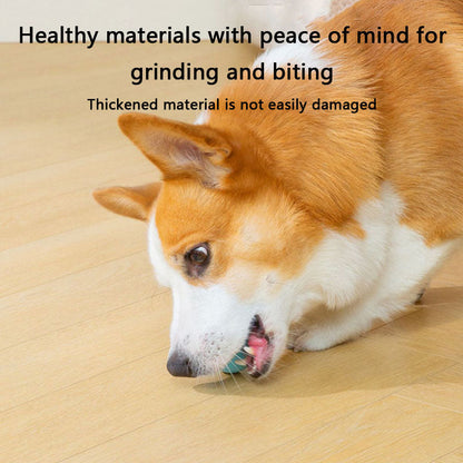 Chew-Proof Self-Rolling Dog Toys - Interactive Fetch Ball canrusupet