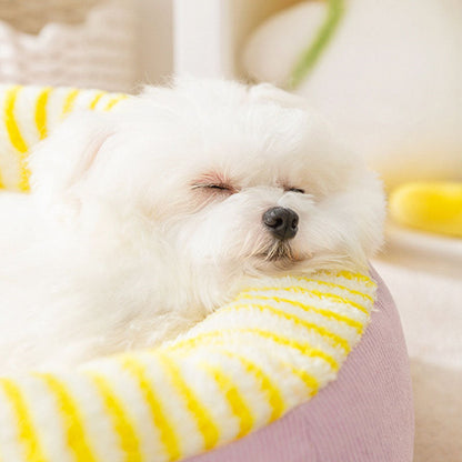 Big Eyed Cute Pattern Dog Kennel For Small And Medium Dogs canrusupet