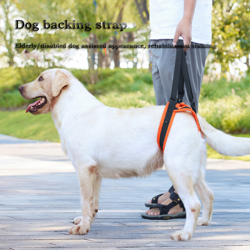 Walking Strap For Elderly Disabled dogs - canrusupet