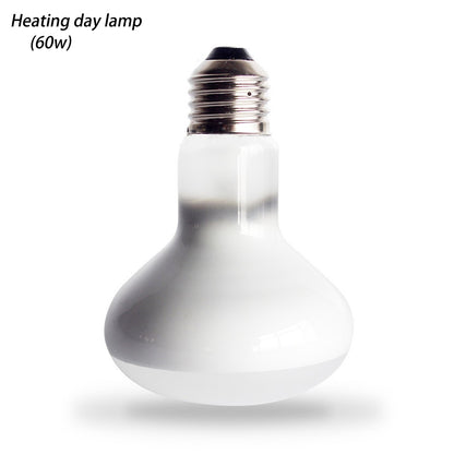 Pet Warm Lamp Day Light and Night Light - canrusupet