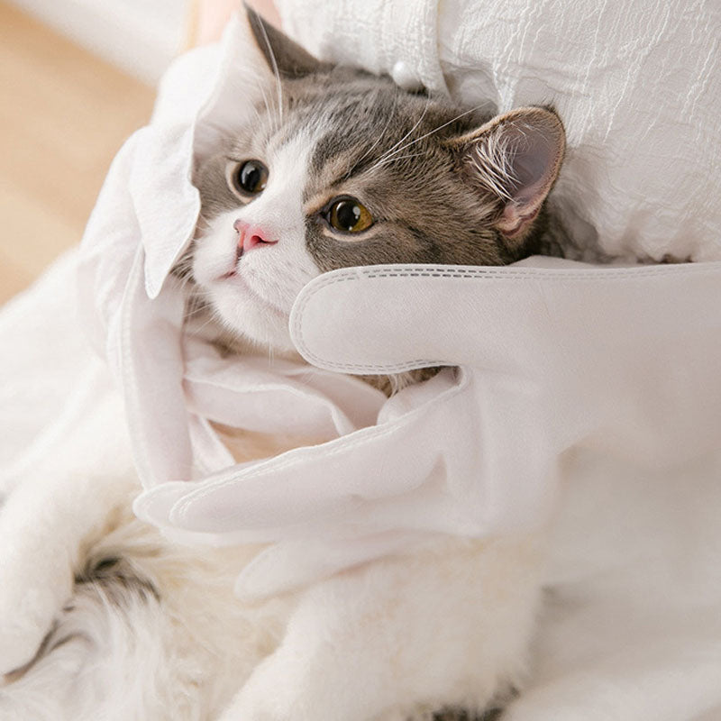 Glove Style Cleaning Wet Wipes Used For Pet Dry Cleaning canrusupet