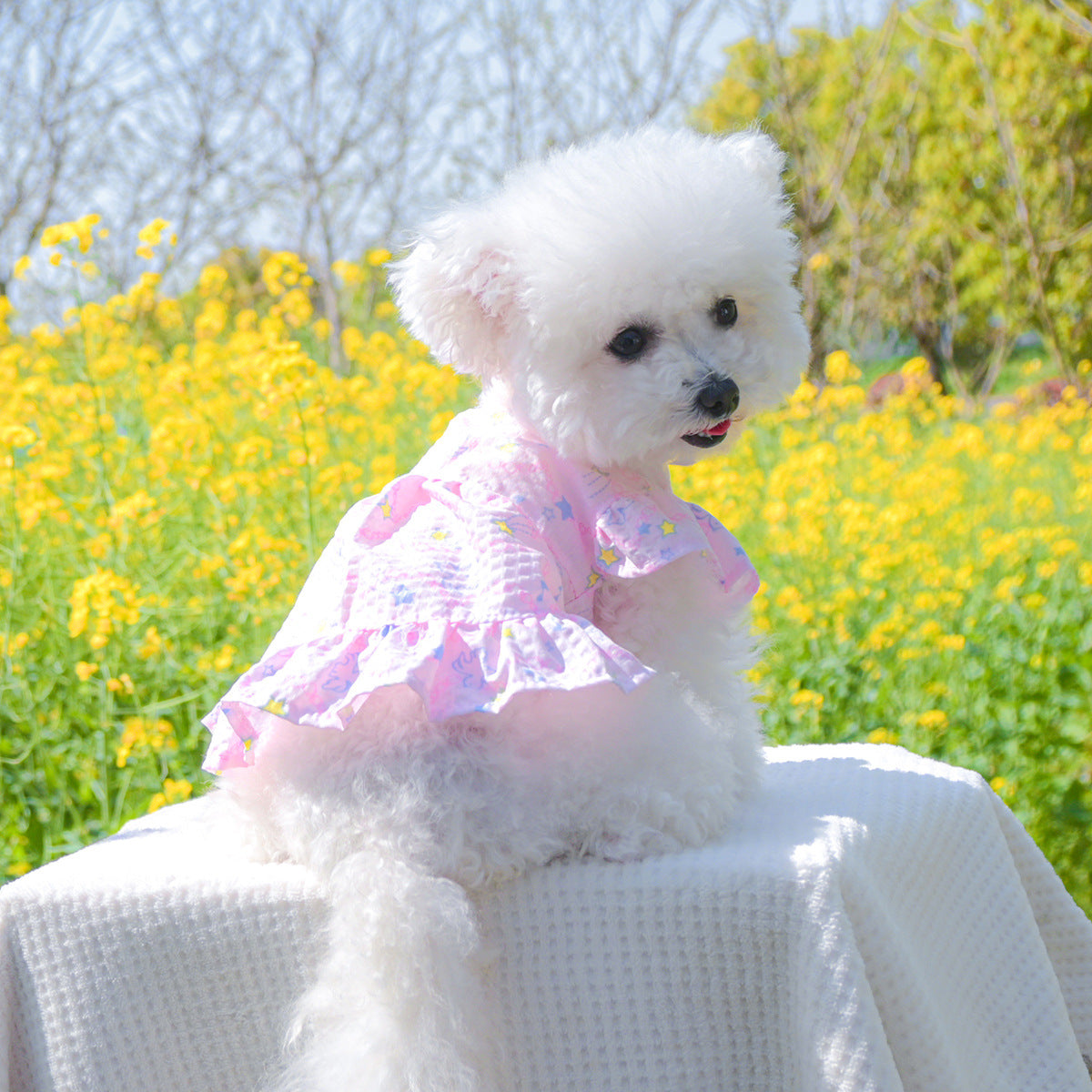 Dog Or Cat Clothes Floral Garden Dress - canrusupet