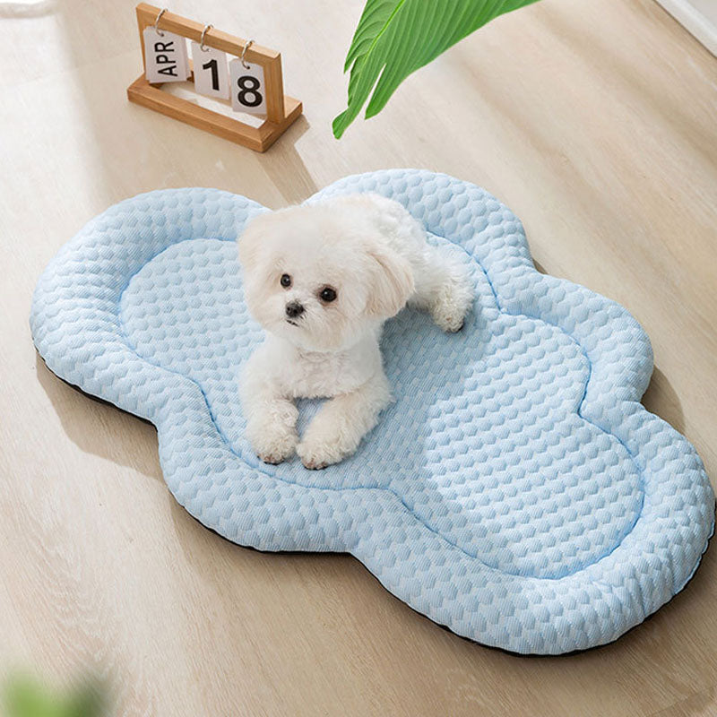 Cool Feeling Cloud Shaped Dog Kennel For Small Dogs Cats canrusupet