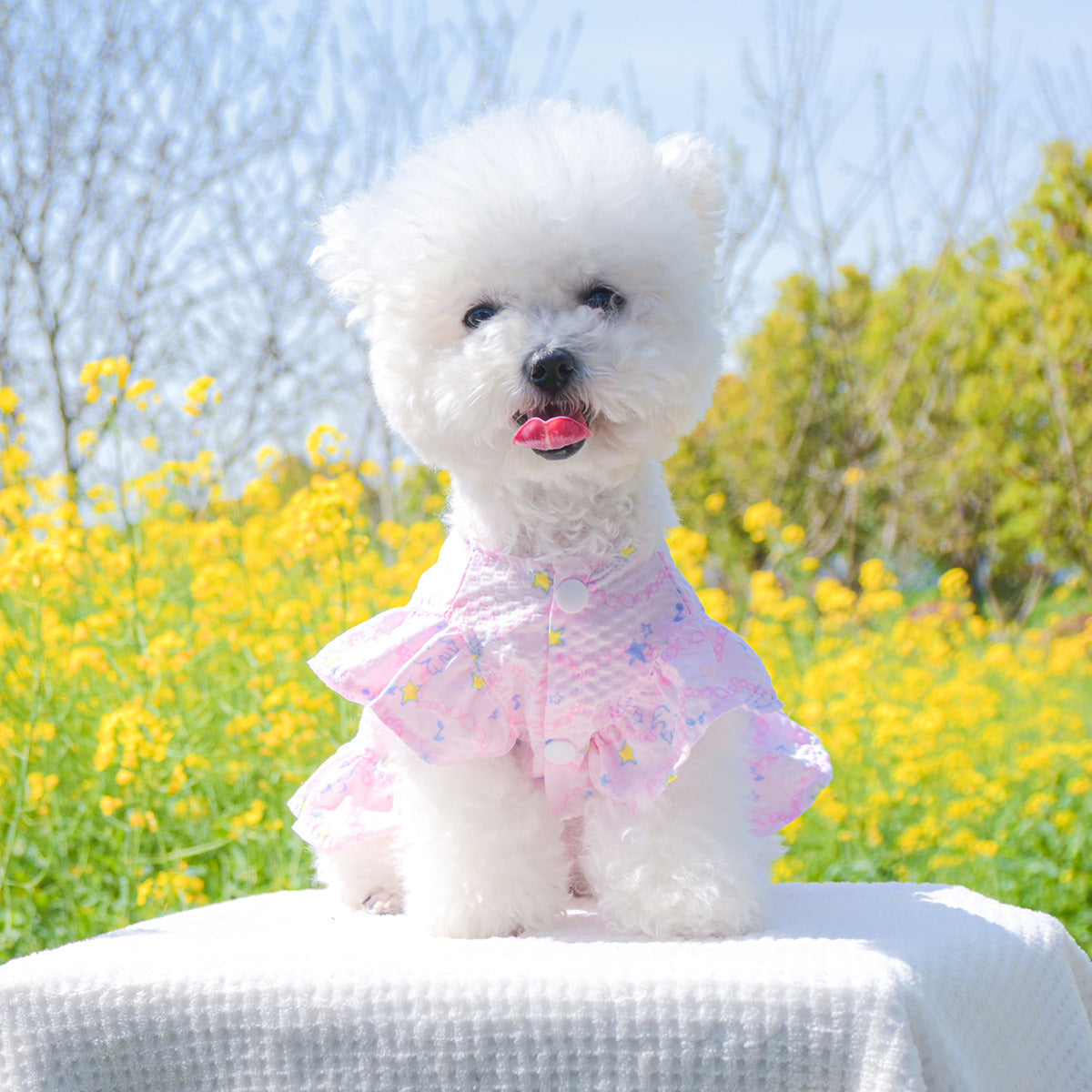 Dog Or Cat Clothes Floral Garden Dress - canrusupet