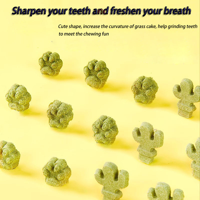 Rabbit Teeth Snack Nutrition Relief Nibble Small Food