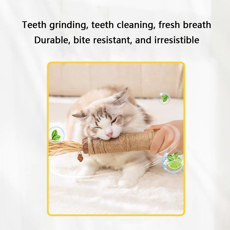 Jumbo Silvervine Cat Toys - Durable & Chew Toys For Kittens canrusupet