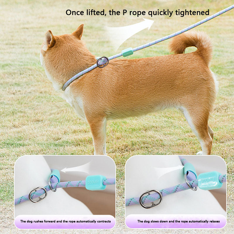 No-Pull Dog Lead - Comfort Grip P-Rope For Small Dogs canrusupet