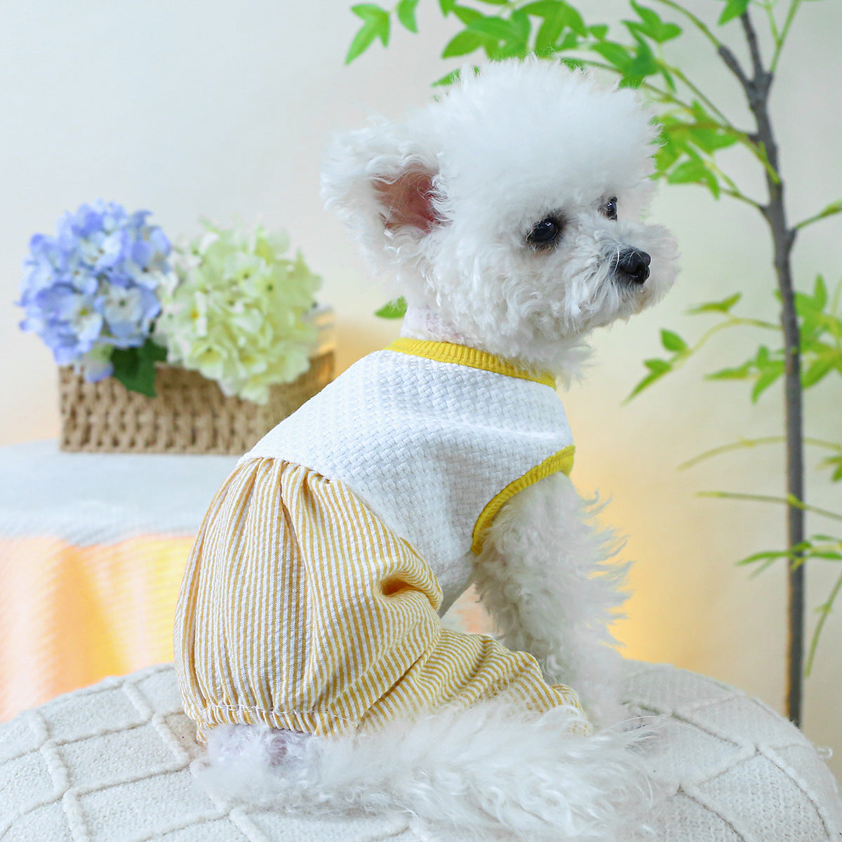 Dog Or Cat Clothes Quadrupeds - canrusupet