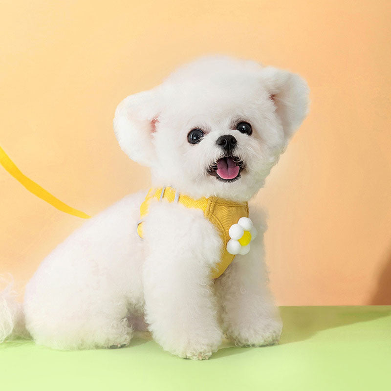 Cartoon Style Vest Style Dog Chain For Dogs Cats canrusupet