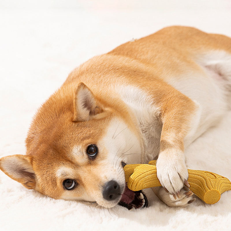 Teeth Grinding Dog Toys Suitable For All Dog Breeds canrusupet