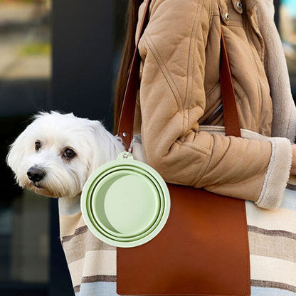 Folding Going Out To Drink Water Dog Bowl For Pet canrusupet